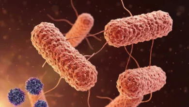 मानसून बीमारियों का खतरा